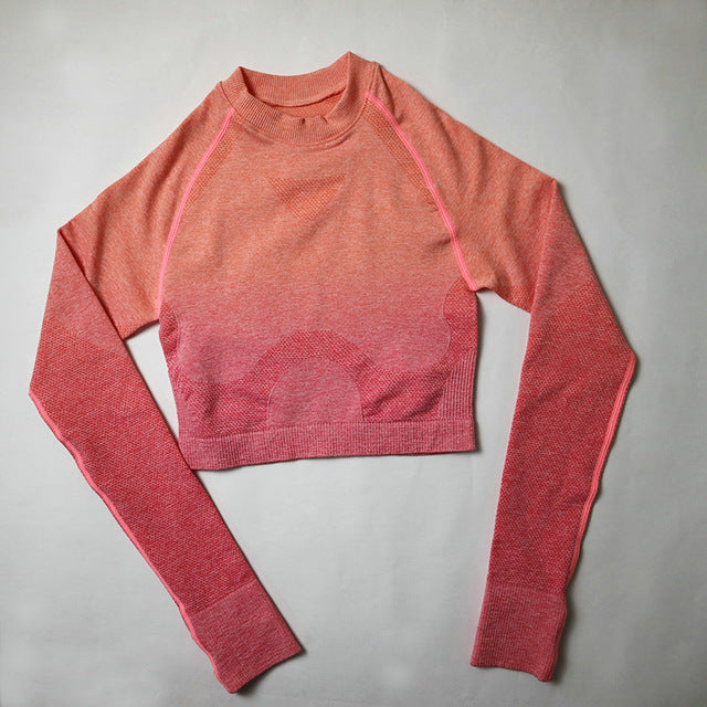 2PCS Yoga Set Women Long Sleeve Crop Tops And High Waisted Tummy Control Sport Leggings Gym Clothing Ombre Seamless Sport Suit
