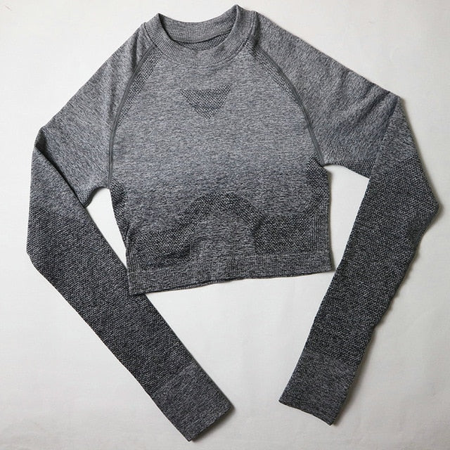 2PCS Yoga Set Women Long Sleeve Crop Tops And High Waisted Tummy Control Sport Leggings Gym Clothing Ombre Seamless Sport Suit
